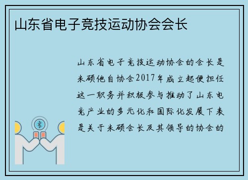山东省电子竞技运动协会会长